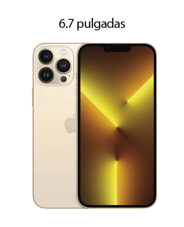 iPhone 13 Pro Max 6.7 pulgadas